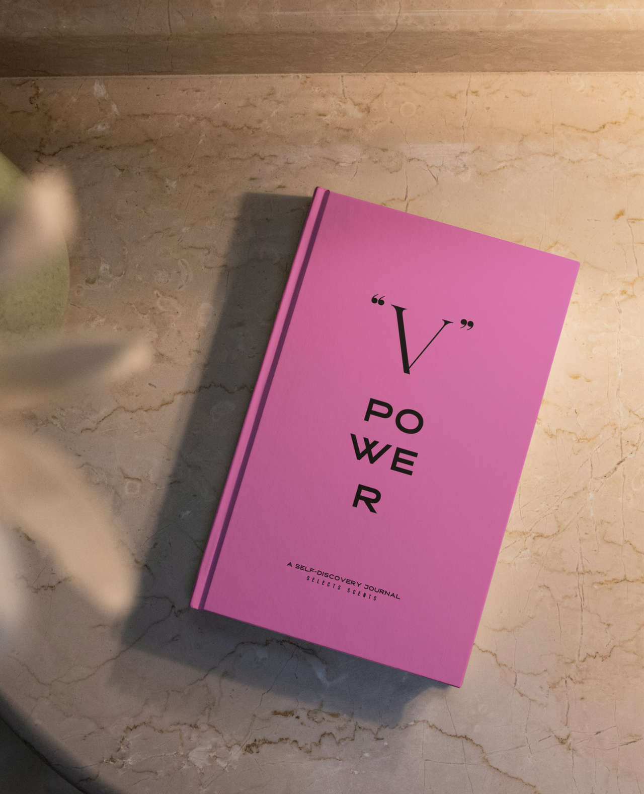 V POWER